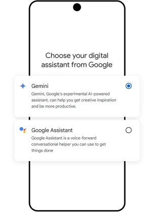 Google Assistant